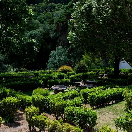 Wot Sarrazola Soul *